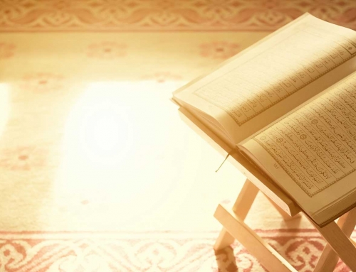 تم تخريج أكثر من 1000 حافظ لكتاب الله